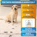 Nettoyeur de Pattes pour Chiens - Élimine Saleté et Crasse en Douceur (Taille L, 10-25 Kg) - NordPaws