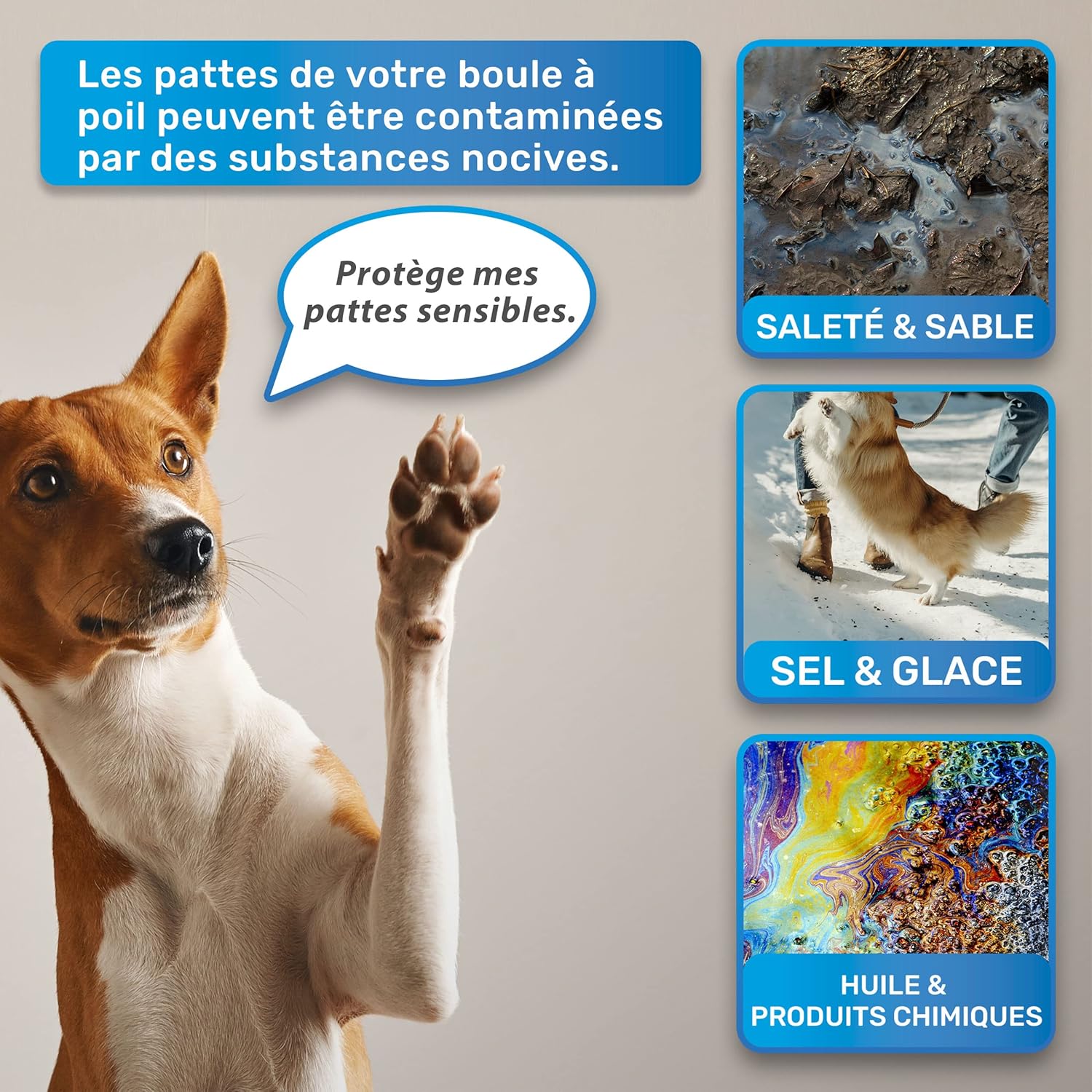 Nettoyeur de Pattes pour Chiens - Élimine Saleté et Crasse en Douceur (Taille L, 10-25 Kg) - NordPaws